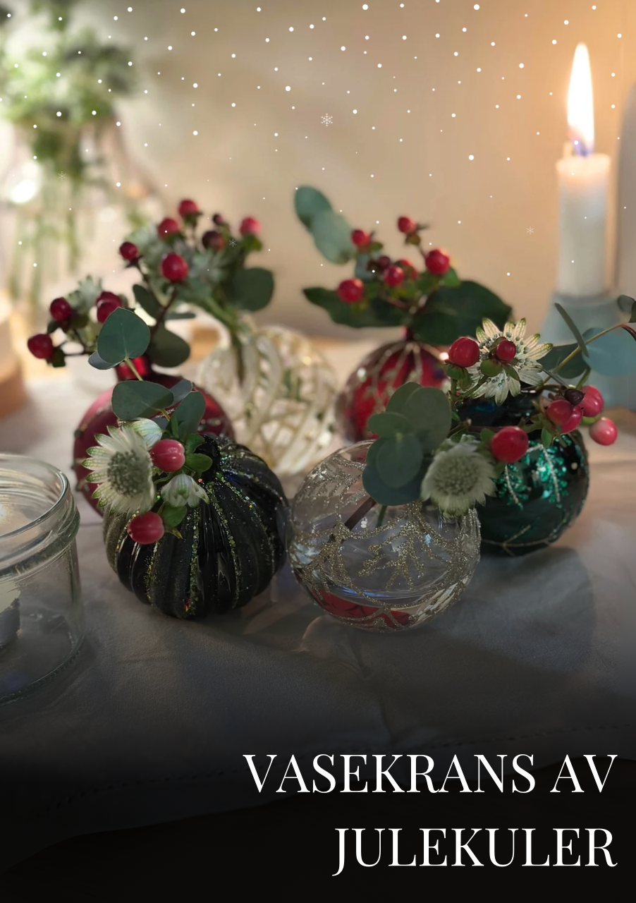 Kreative juleideer med Aurora og Miriam - Digital julebok