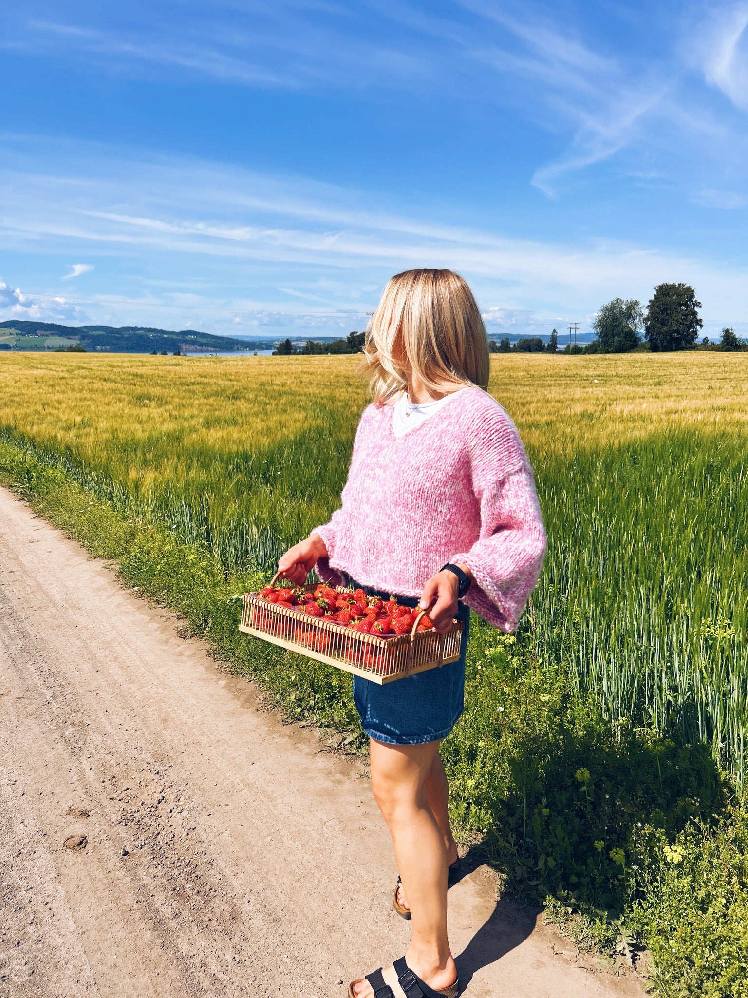 Midtsommer - nydelig genser med v-hals og vide ermer