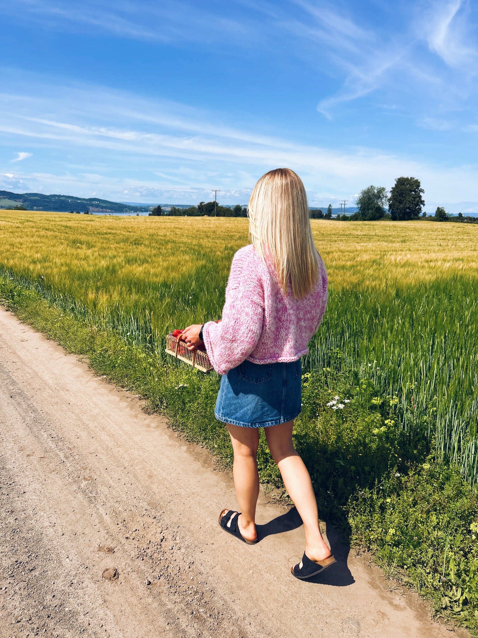 Midtsommer - nydelig genser med v-hals og vide ermer