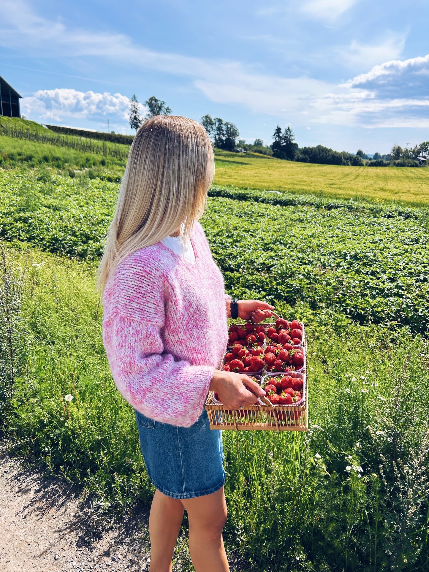 Midtsommer - nydelig genser med v-hals og vide ermer