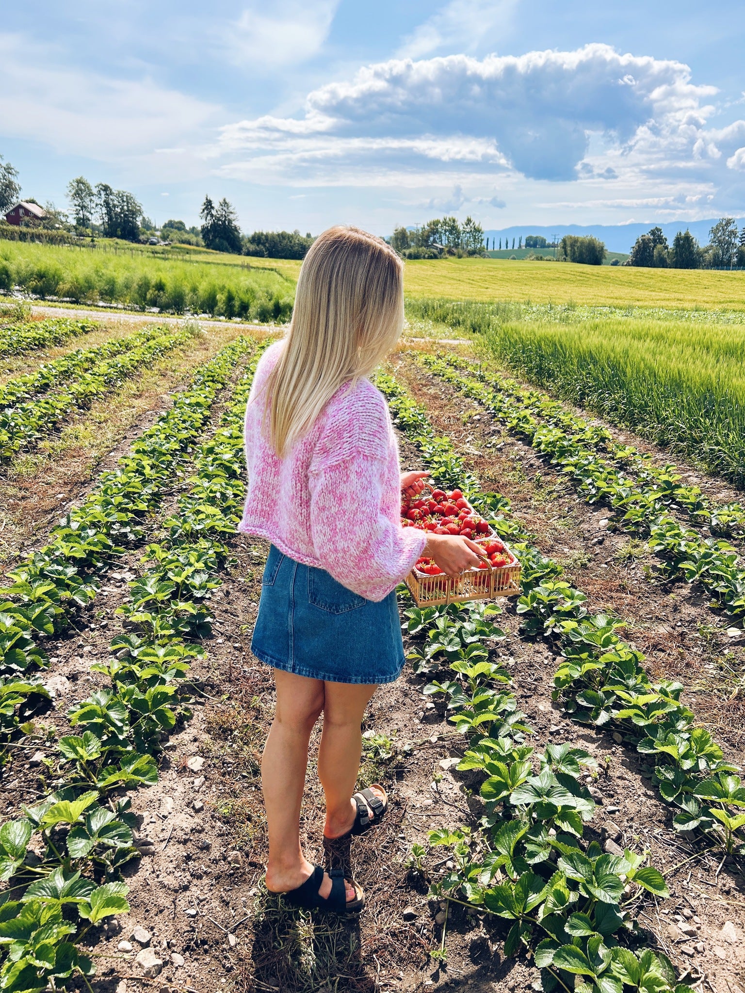 Midtsommer - nydelig genser med v-hals og vide ermer