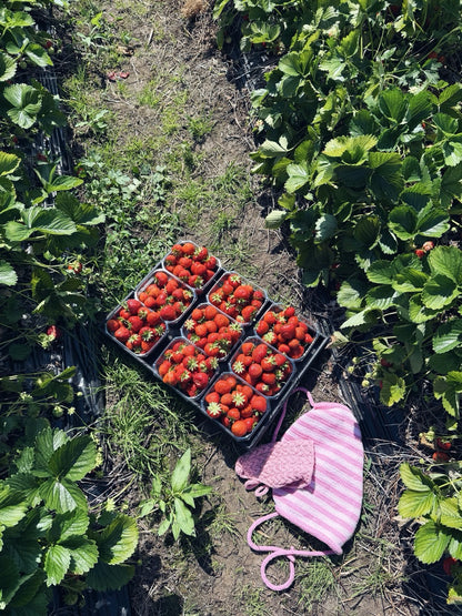 Sommerro e-bok fra By Wergeland og By Hellan